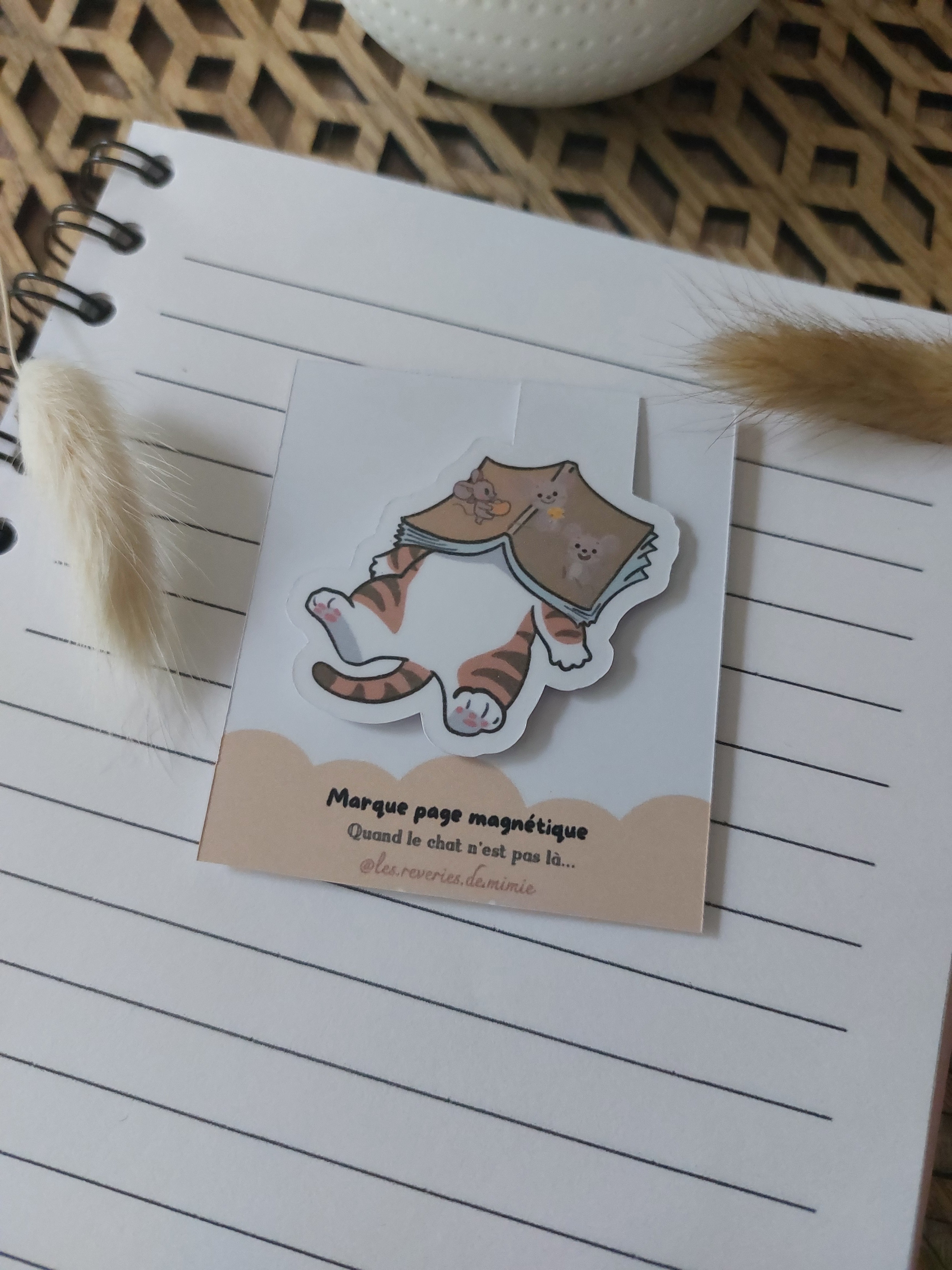 Marque-pages magnétique - Quand le chat n'est pas là
