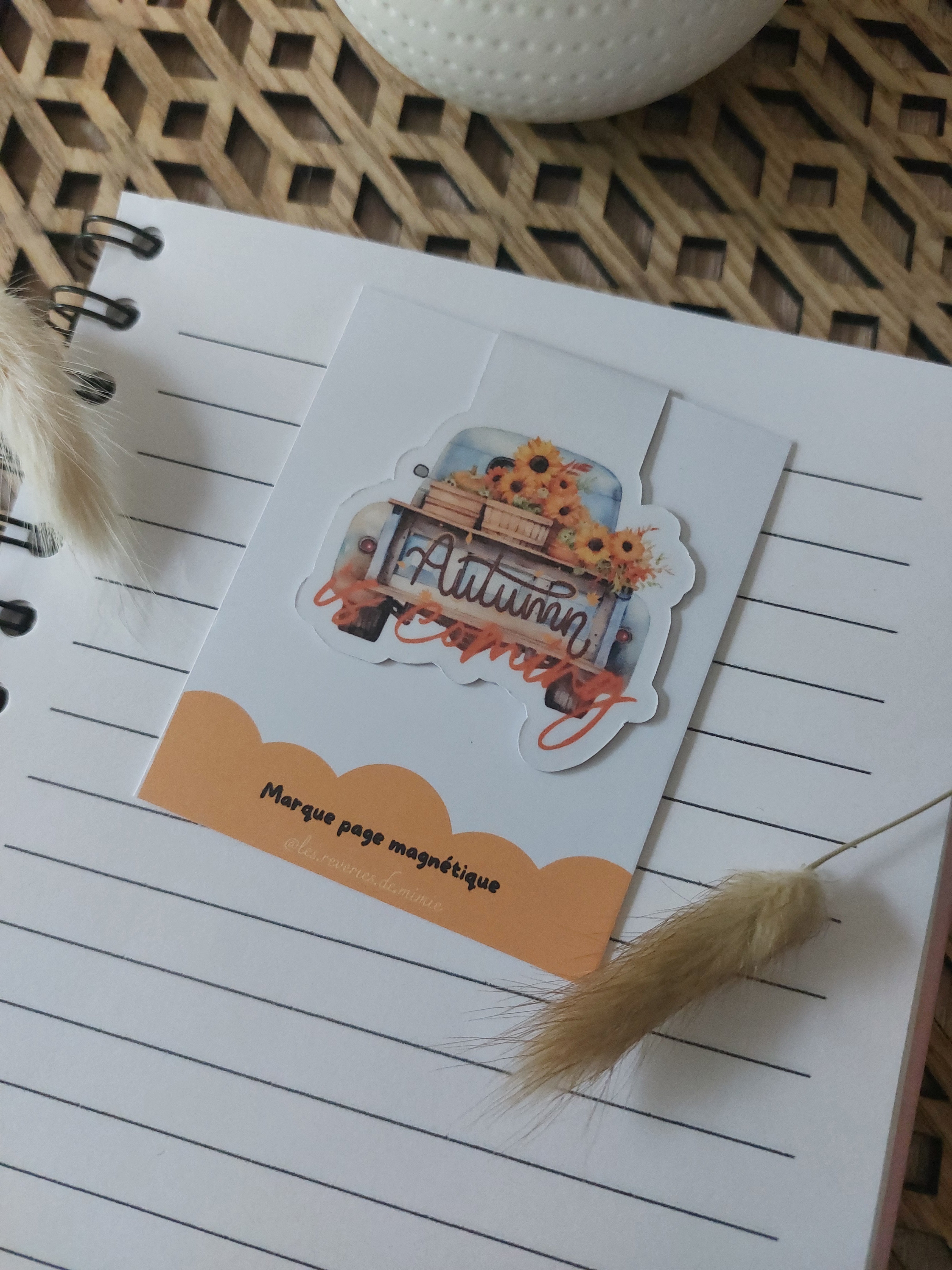 Marque-pages magnétique - Autumn is coming