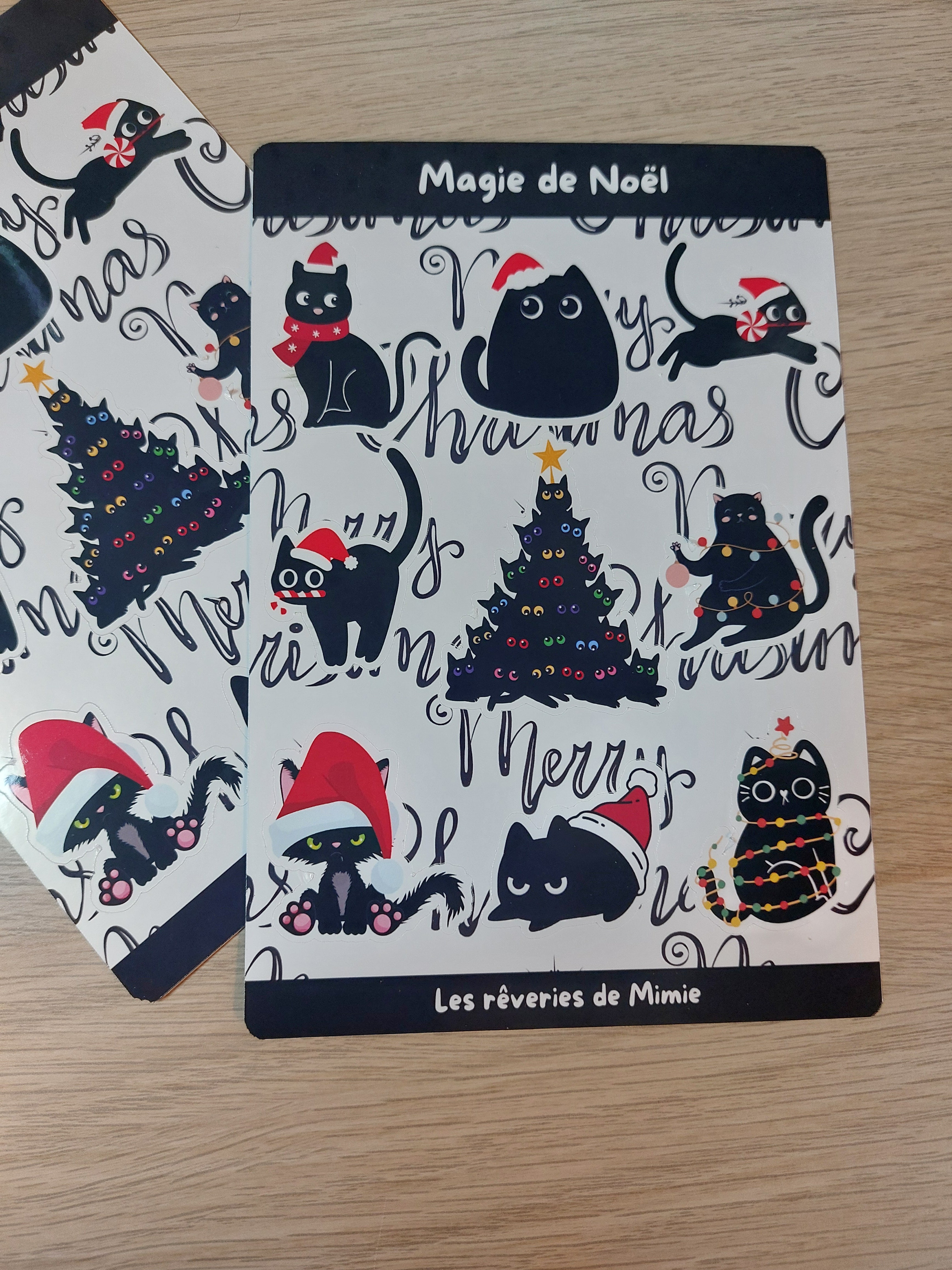 Magie de Noël - Chats